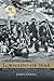 Into the Tornado of War: A History of the Twenty-First Michigan Infantry in the Civil War