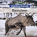 Reindeer