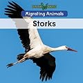 Storks