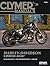Harley-Davidson XL Sportste...