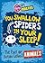 You Swallow Spiders in your Sleep! The Fact or Fiction Behind Animals
