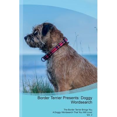 border terrier presents