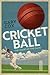 Cricket Ball