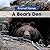 A Bear's Den