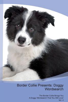 border collie presents