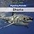 Sharks (Migrating Animals)