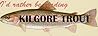 Complete Works of Kilgore Trout Complete Works of Kilgore Trout