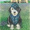 The Adventures of Samson by Monica Agnew-Kinnaman