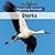 Storks (Migrating Animals)