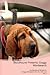 Bloodhound Presents: Doggy Wordsearch The Bloodhound Brings You A Doggy Wordsearch That You Will Love! Vol. 3