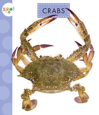 Crabs (Spot Ocean Animals)