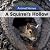 A Squirrel's Hollow by Arthur M. Best
