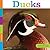 Ducks (Seedlings: Backyard Animals)