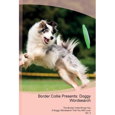 border collie presents