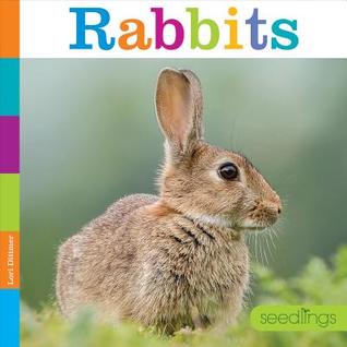Rabbits (Seedlings: Backyard Animals)