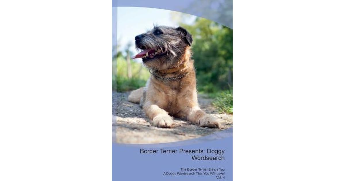 border terrier presents