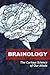 Brainology: The Curious Science of Our Minds
