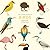 The Little Guide to Birds