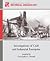 Investigations of Craft and Industrial Enterprise by Christopher C. Fennell