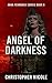 Angel of Darkness by Christopher Nicole