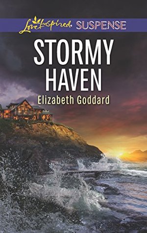 Stormy Haven (Coldwater Bay Intrigue Book 2)