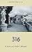 316: A Story of 1920s Miami