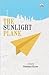 The Sunlight Plane by Damini Kane