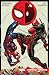 Spider-Man/Deadpool 1: Parťácká romance (Spider-Man/Deadpool, #1)