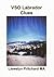 VSO Labrador Clues (Servizio Volontario Overseas (VSO) a Terranova, Labrador Canada 1960-1970 Vol. 1) (Italian Edition)