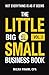 The Little Big Small Busine...