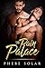 The Pain Palace by Phebe Solar