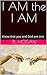 I AM the I AM by P.L. Hogan