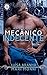 Meu Mecânico Indecente (Meus Amores Livro 2) by Mari Monni