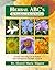 Herbal ABC's The Foundation...