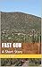 Fast Gun: A Short Story