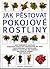 Jak pěstovat pokojové rostliny by Jürgen Wolff