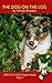 The Dog On The Log Chapter Book: For Phonics Readers and Dyslexia/Dyslexic Learners (DOG ON A LOG Chapter Books)