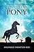 The Galloping Pony by Angharad Thompson Rees