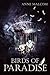 Birds of Paradise