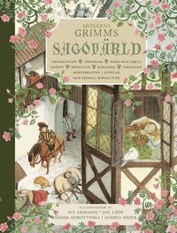 Bröderna Grimms sagovärld (Hardcover)
