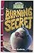 Burning Secret by Sam Godwin