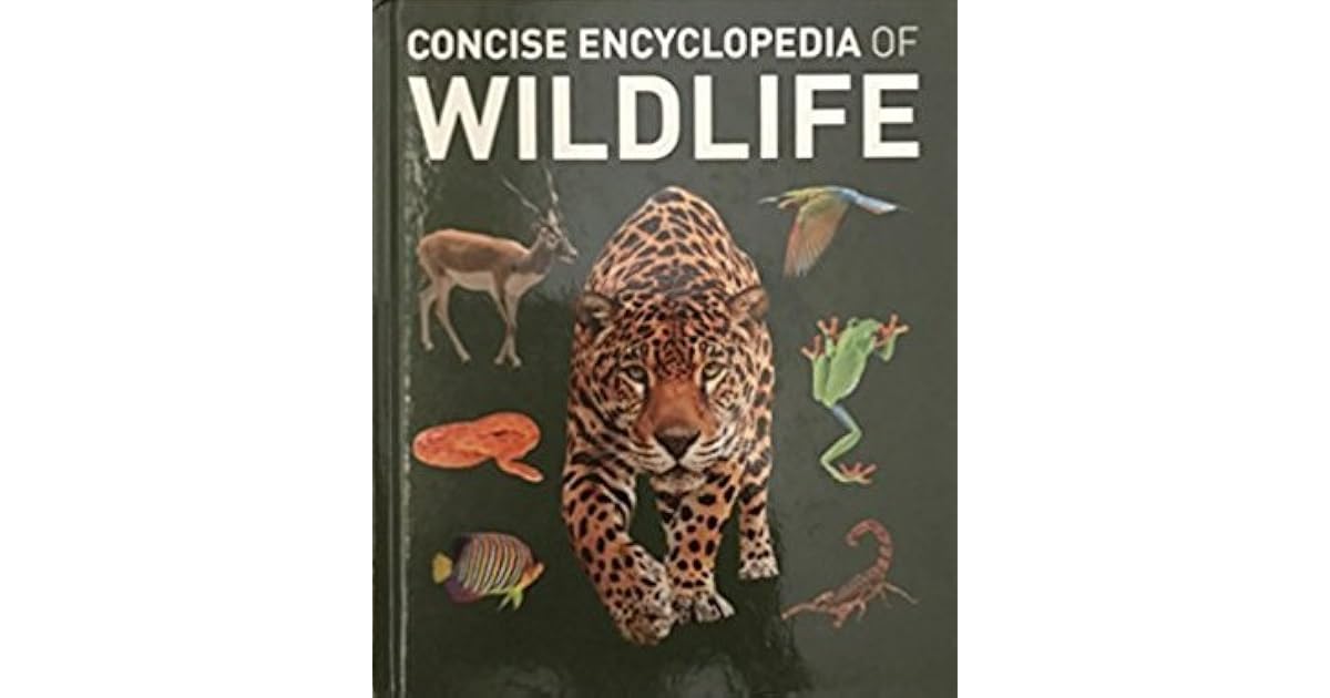 Concise Encyclopedia of Wildlife by Red Lemon
