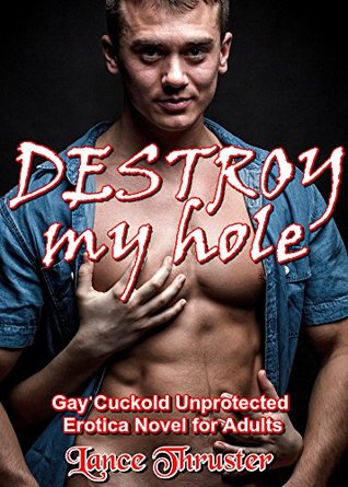 Destroy my Hole (Kindle Edition)