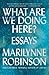 What Are We Doing Here?: Essays