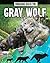 Bringing Back the Gray Wolf by Cynthia O'Brien Bringing Back the Gray Wolf by Cynthia O'Brien
