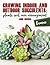 Growing Indoor and Outdoor Succulents:: Plants, Soil, Care, Arrangement