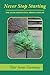 Never Stop Starting by Peter James Flamming Never Stop Starting by Peter James Flamming
