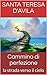 Cammino di perfezione: la strada verso il cielo (Italian Edition)