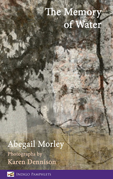 The Memory of  Water