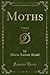 Moths, Vol. 2 of 3: A Novel (Classic Reprint)